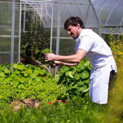 Seattle Times – For Willows Inn chef Blaine Wetzel, Lummi Island is a nine-square-mile pantry