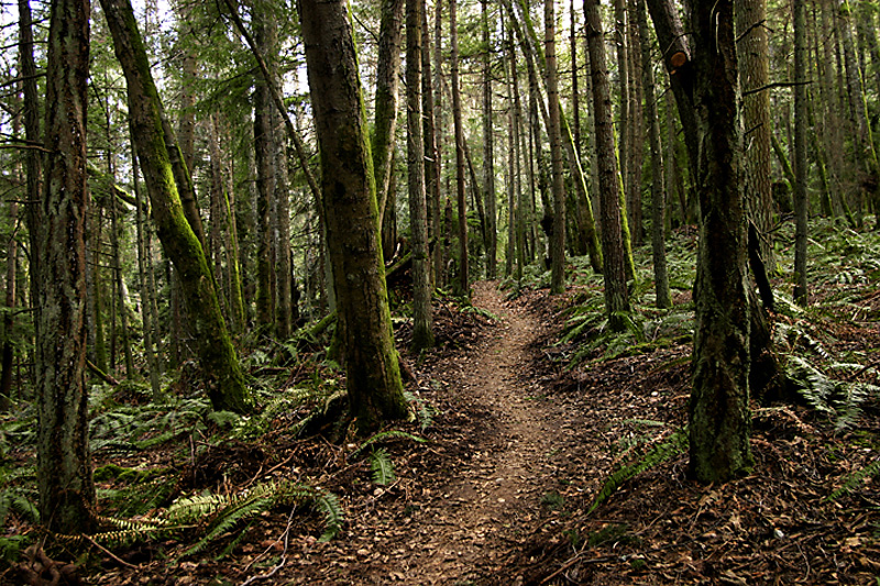 Hiking