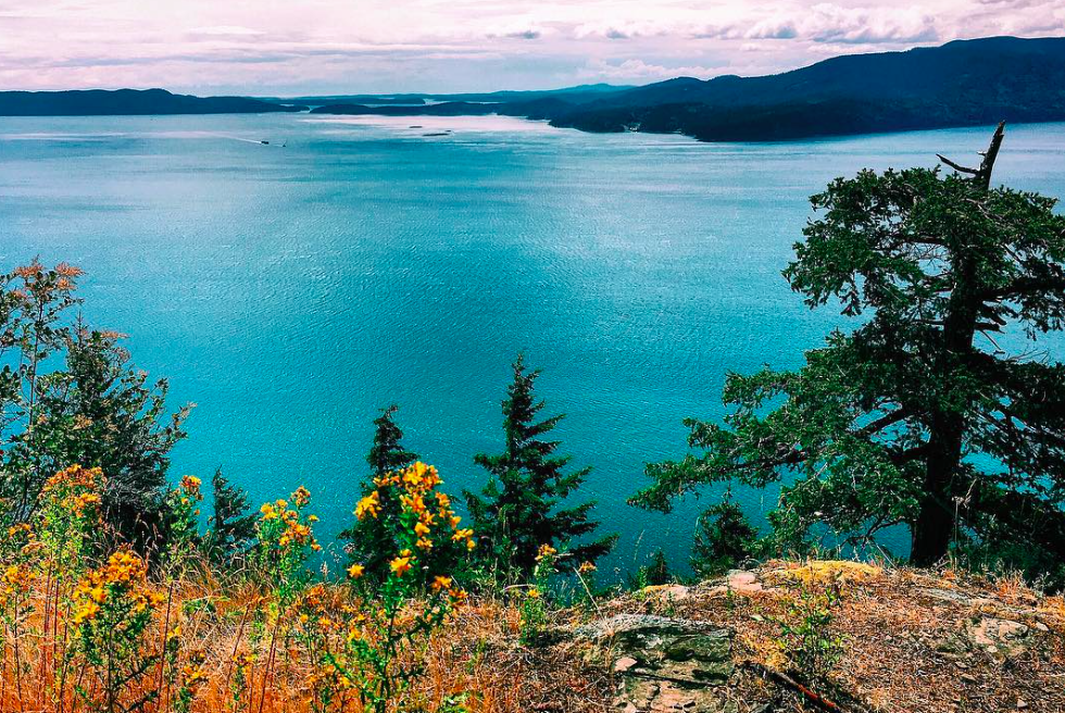 Narcity – This Dreamy Island Is Only Two Hours From Vancouver And You Should Go Immediately