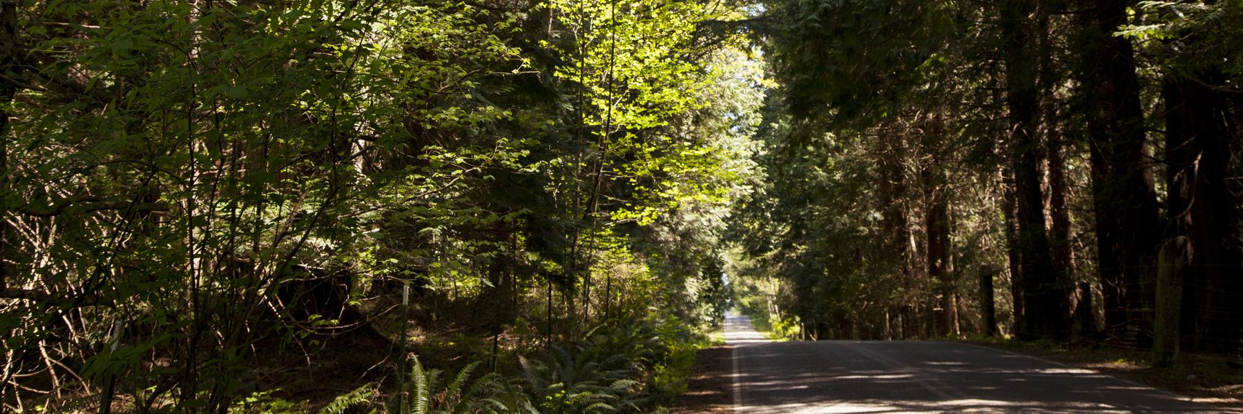 Island Activities on Lummi Island, Washington